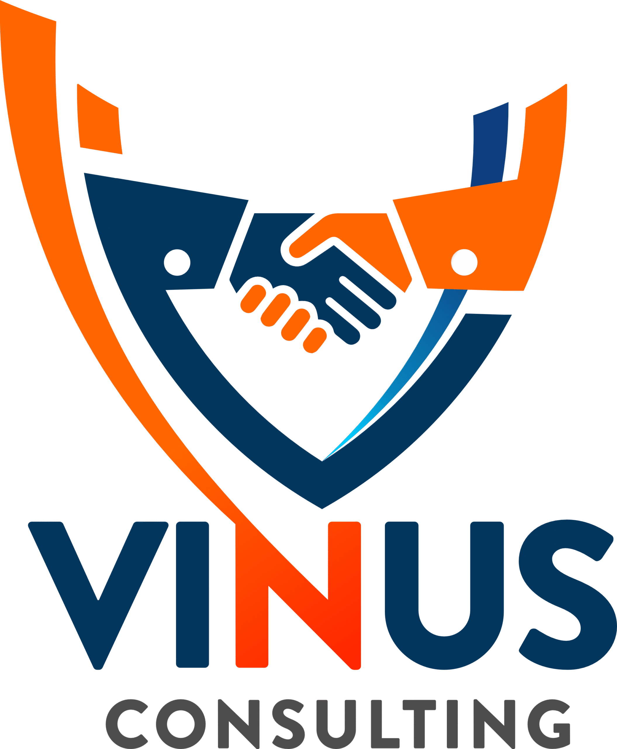 Vinusconsulting